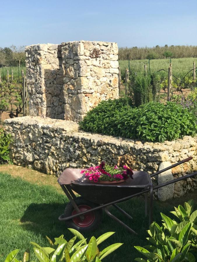 Bed and Breakfast A Lu Fanizza Cutrofiano Zewnętrze zdjęcie