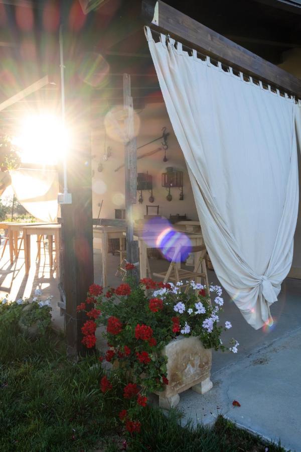 Bed and Breakfast A Lu Fanizza Cutrofiano Zewnętrze zdjęcie