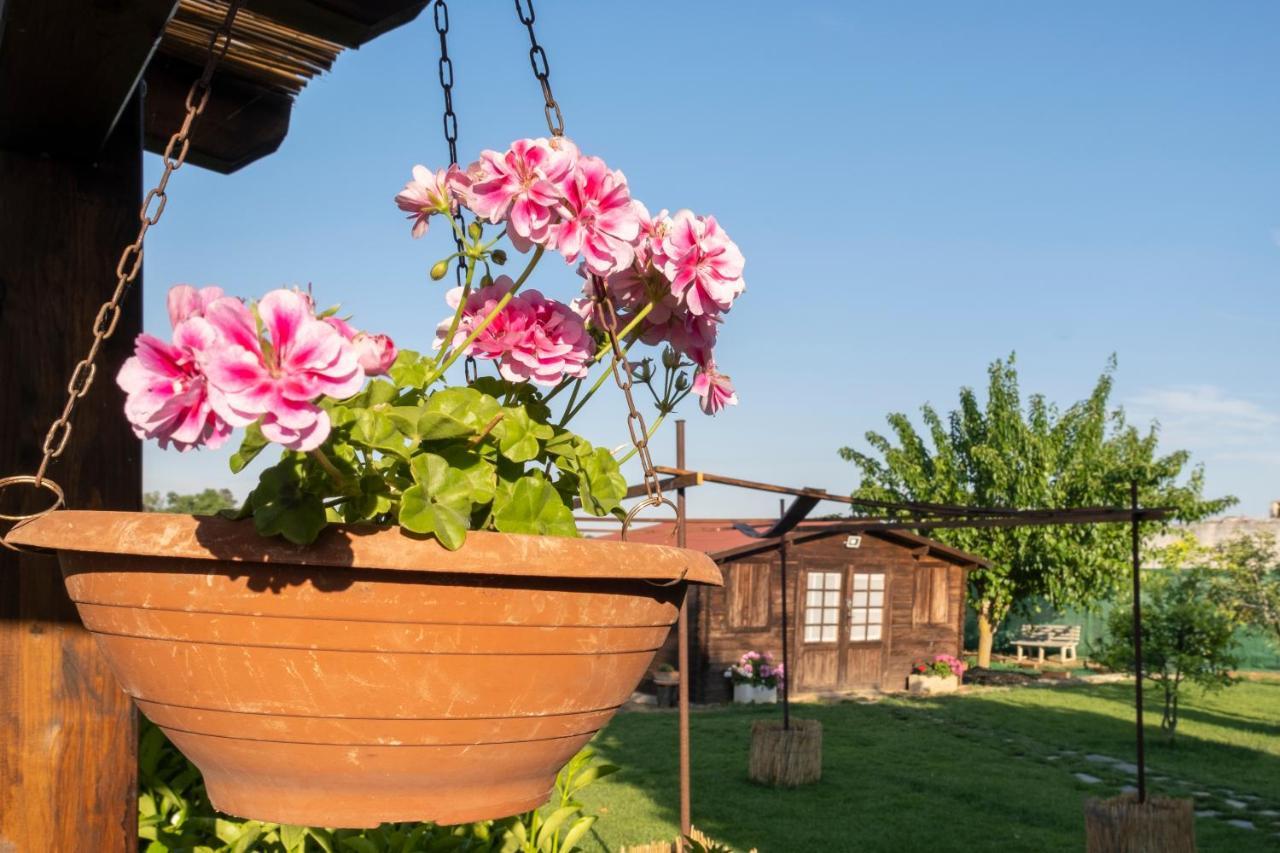 Bed and Breakfast A Lu Fanizza Cutrofiano Zewnętrze zdjęcie