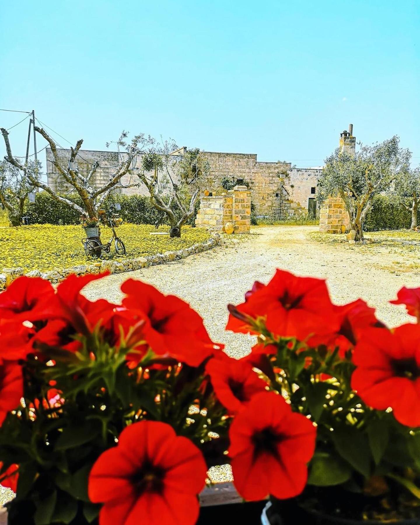 Bed and Breakfast A Lu Fanizza Cutrofiano Zewnętrze zdjęcie
